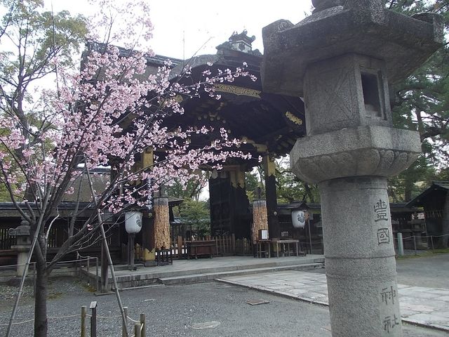 �����̗l�q_�L���_��