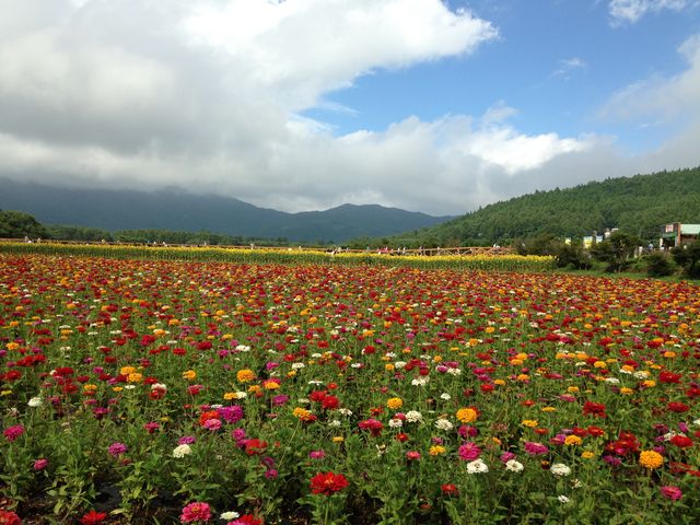 _̍ԂAՂ̐󂪁I_R Ԃ̓s