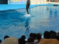 񂳂̓mr[`h&mቤւ̓eʐ^1