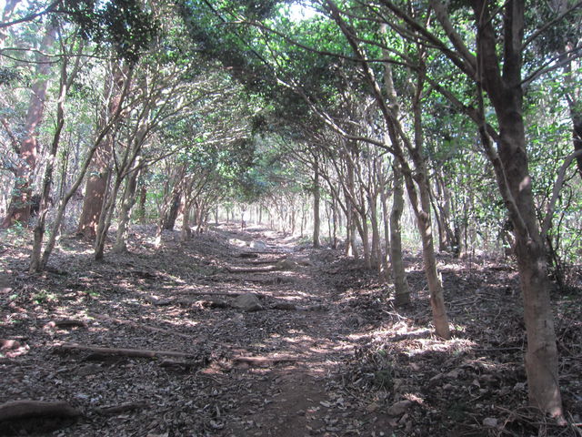 ��������o��n�߂܂�_����R