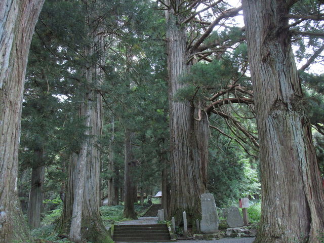 �V��_�F��_�Ђ̘V���Q