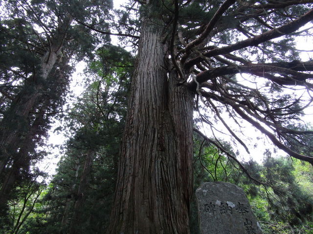 �V��_�F��_�Ђ̘V���Q