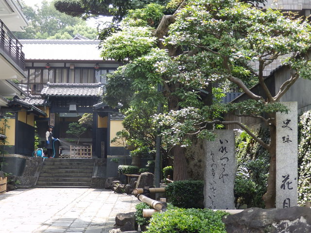 Ԍ`{n̓ƌ钌cĂ܂B_JXe{ƕ{X