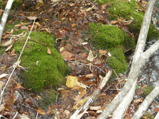 ���q���@����