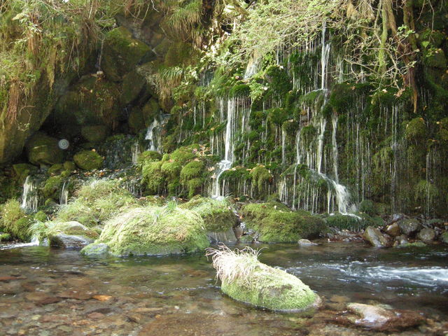 ���ꕚ����