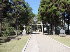 zin̔XÂ݂̒ւ̓eʐ^2