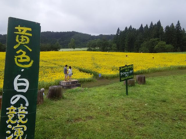 amucha̎R̊yZ̓eʐ^2