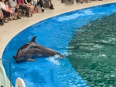 ̐䂤݂̓mقւ̓eʐ^1