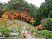 GingerTea̕򎛂̓eʐ^1