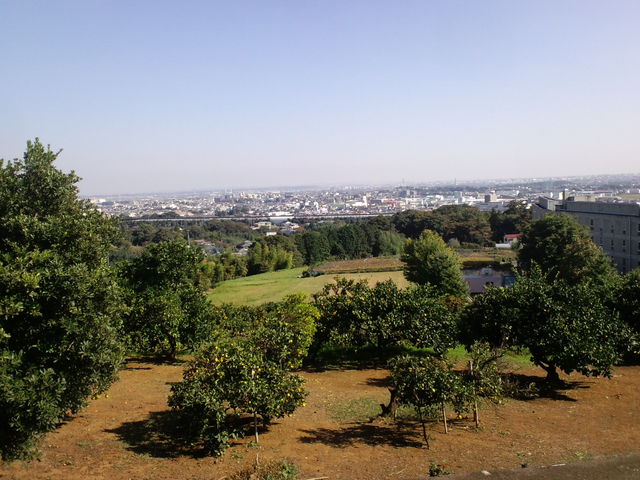 �{�{���猩���ɐ������ʁB_�O�V�{��X���_��