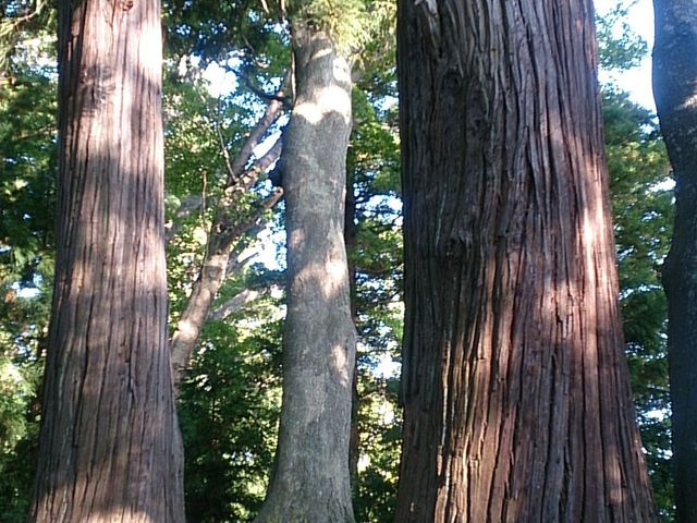 肻Ȃ̉Fs̕(`)̓eʐ^2