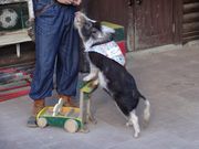 FS̈ɉ̗NNÂt@[̓eʐ^1