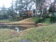 Kazoshima̐VvqՂ̓eʐ^1