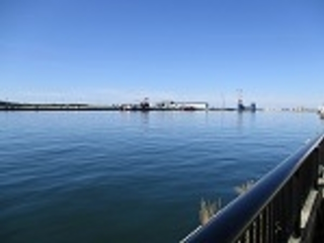 ����_�������C�N�s��