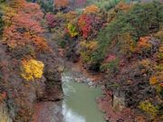 Ȃ҂񂳂̌ȌkJ̍gt̓eʐ^1