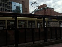 bV[̒dCOi̘Hʓdԁjւ̓eʐ^1