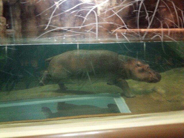 ���R������