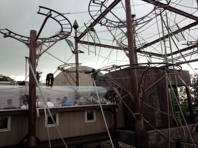 ���R������