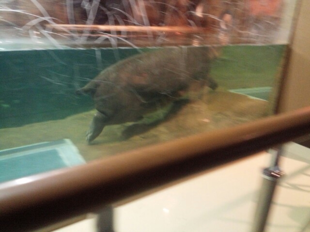 ���R������