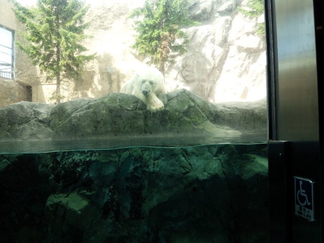 ���R������