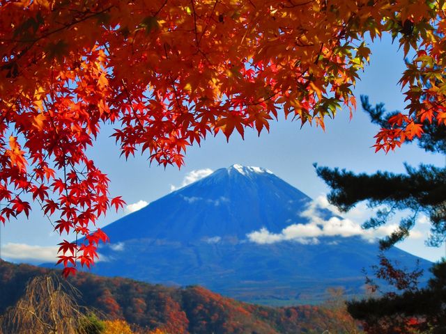 西湖いやしの里根場】河口湖・西湖・富士吉田・精進湖・本栖湖・郷土料理 - じゃらんnet