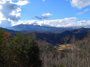 ̂肿񂳂̋㑠̓eʐ^1