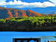 Ђ낳̐΁ǐόj̓eʐ^1