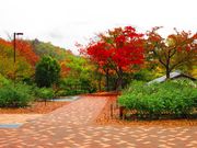 Ђ낳̎RxmNtgp[N̓eʐ^5