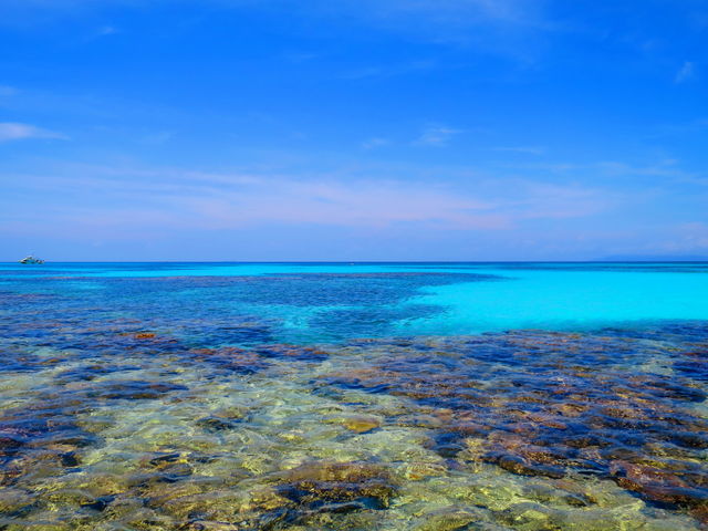 �j�V�l�B_�g�Ɗԓ�