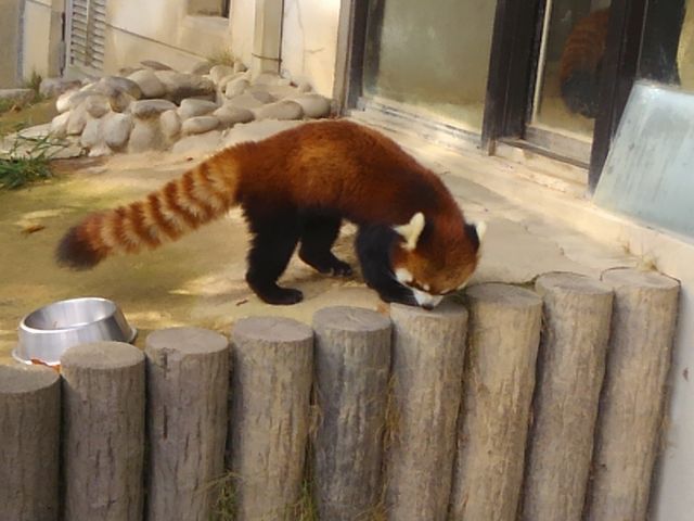 ���R������