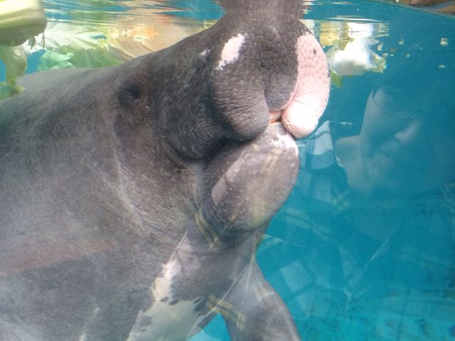 ����ȉ����}�i�e�B��_�M��o�i�i���j��