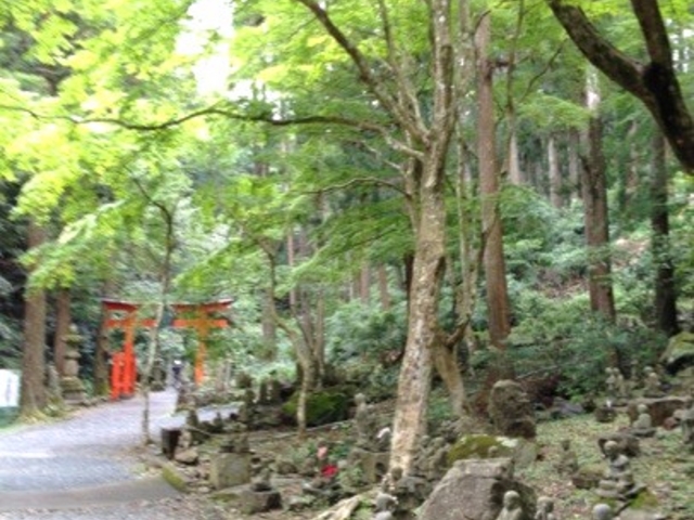 方広寺（奥山半僧坊）】アクセス・営業時間・料金情報 - じゃらんnet