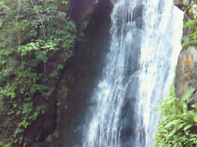 ���͂���܂��I_�s���̑�