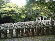 �M�O�X����̔��ˎ�ї��ƕ揊�y�������揊�z�̓��e�ʐ^2