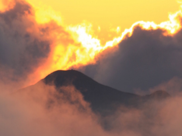 �}���x_�}�P�x