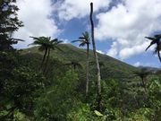 ɂႤ˂̉Γox̓eʐ^1