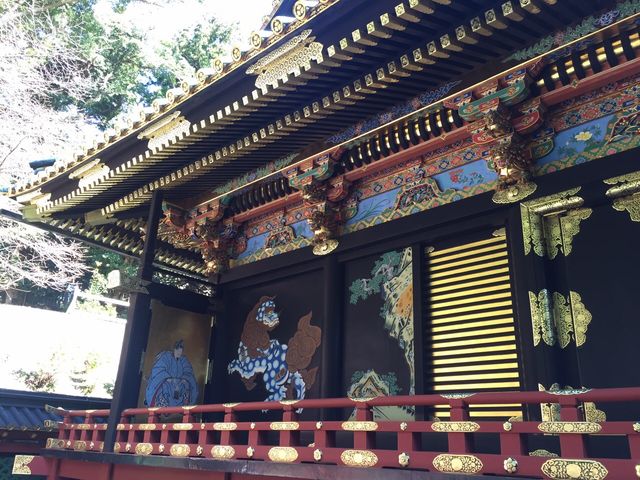 ࣍؂̂ЂƌłB_v\RƋ{