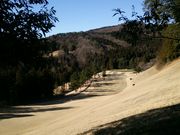 bq񂳂̍KGJg[Nu̓eʐ^1