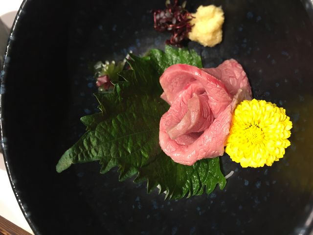 ���Ή� �h�g_�ߍ]���ї��u��