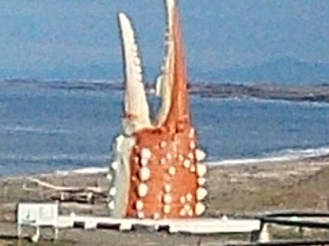 ���̉w �I�z�[�c�N���