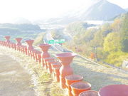 jyarapon̒RÕ̓eʐ^1