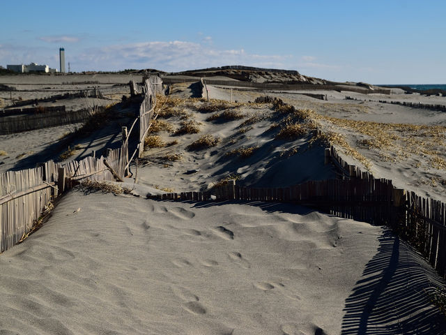 ���c�����u_���c�����u