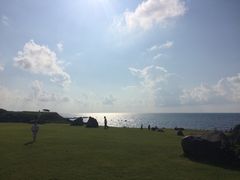 ̉w ۊ ˂ނ̋u̎ʐ^1