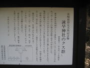 񂿂񂳂|_Ђ̃NXQ̓eʐ^2