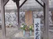 񂿂񂳂̊}ωi}j̓eʐ^2