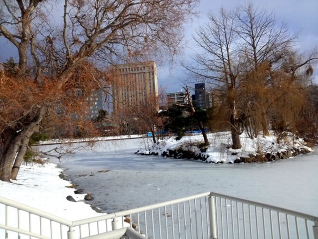 ��������_��������