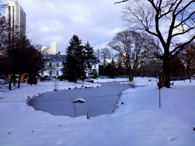 ��������_��������