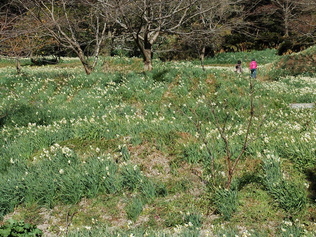 �]�����働�[�h_���{����