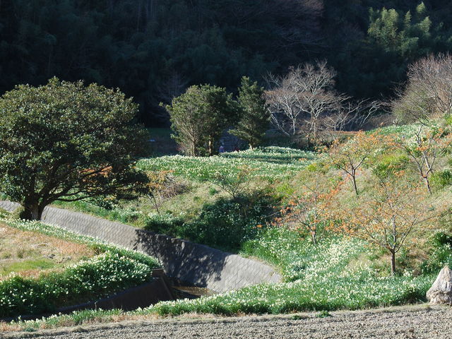 �]�����働�[�h_���{����