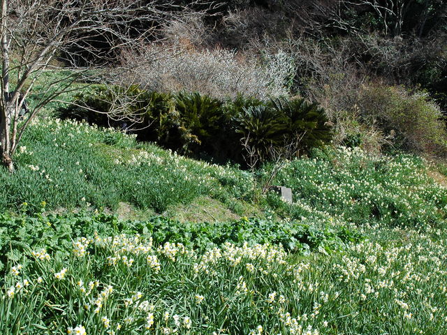 �]�����働�[�h_���{����